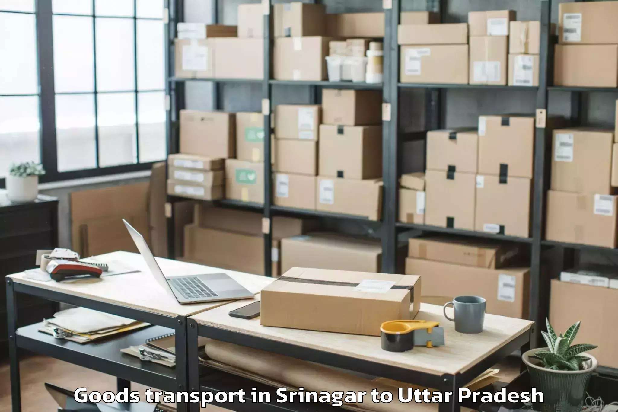 Top Srinagar to Pacific Mall Ghaziabad Goods Transport Available